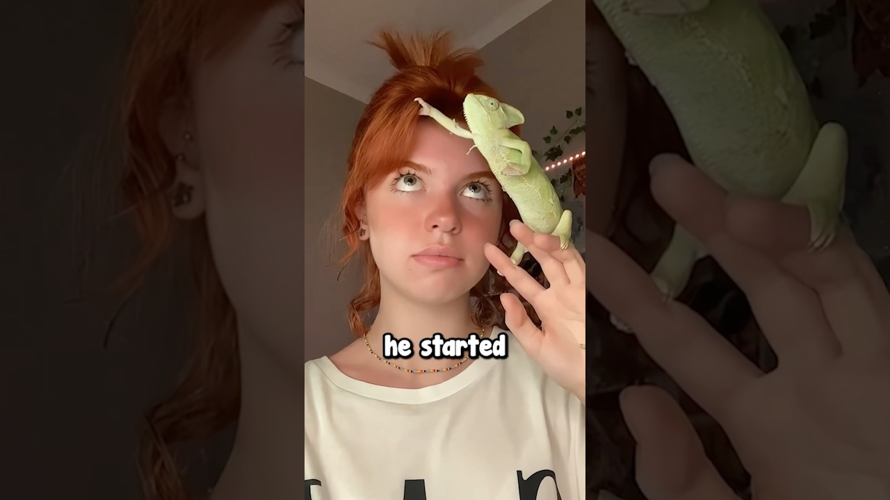 Girl Befriends a Chameleon 🥹❤️