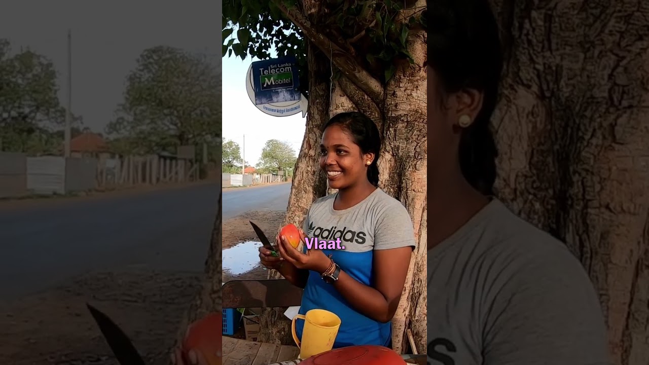 Sweet Mango in Jaffna, Sri Lanka 🇱🇰