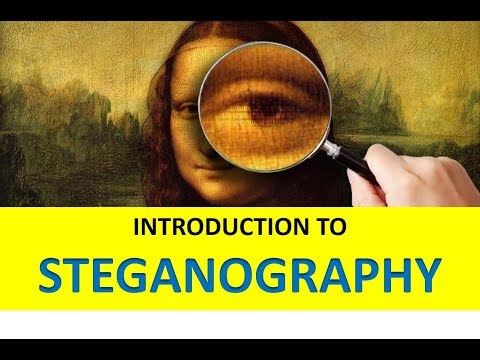 INTRODUCTION TO STEGANOGRAPHY | What Is Steganography & How Does It Work?