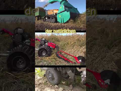 noch 8 Tage bis zur BTW25