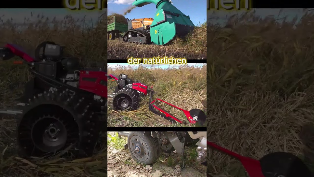 Nur noch 8 Tage bis BTW25: Grüne für Naturschutz 🌿