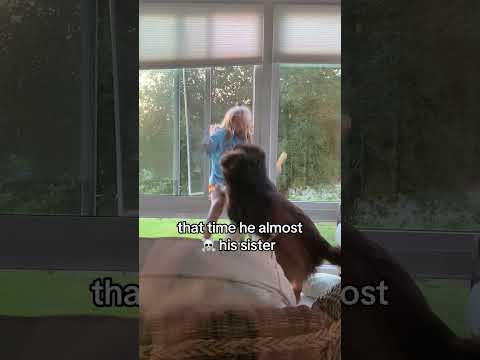 Nothing beats a jet 2 Holiday🥴