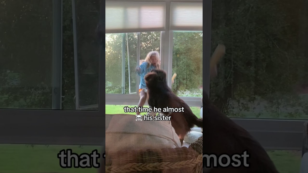 Experience the Ultimate Getaway with Jet2 Holidays ✈️