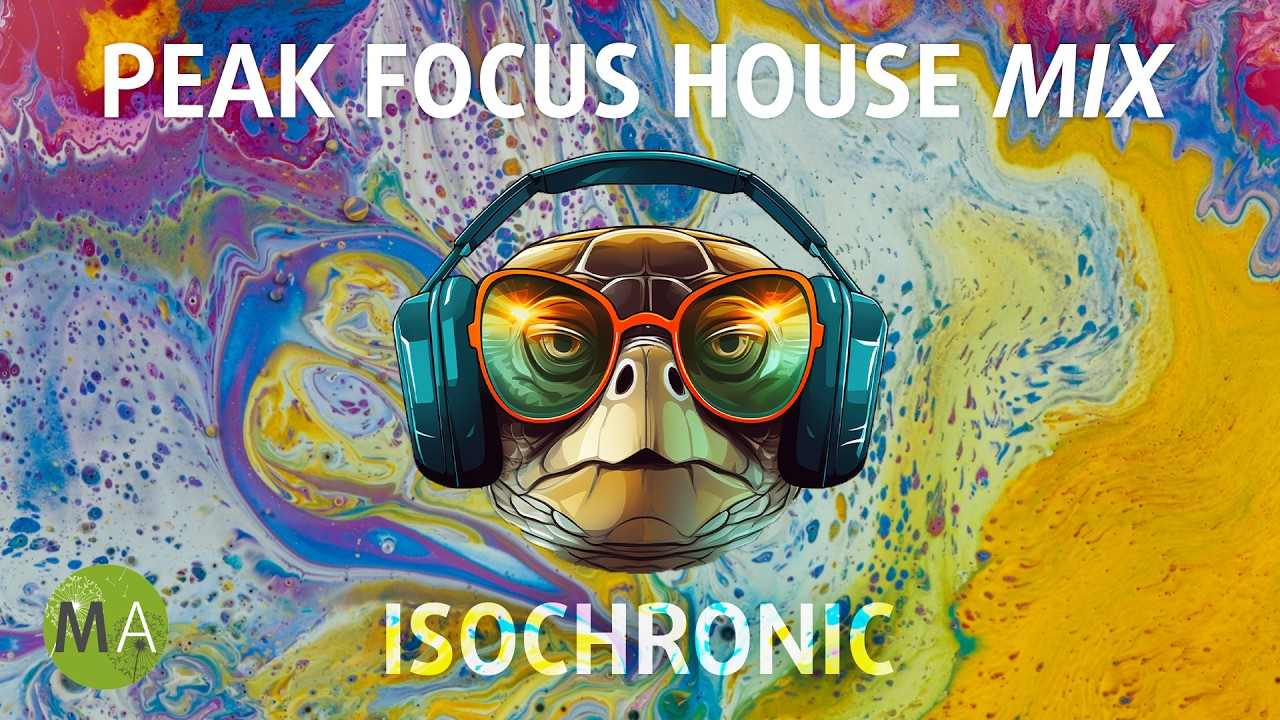 Peak Focus for Complex Tasks: House Turtle Mix with Isochronic Tones