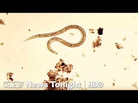 Sewage Parasites & Jail Vapes: VICE News Tonight Full Episode (HBO)