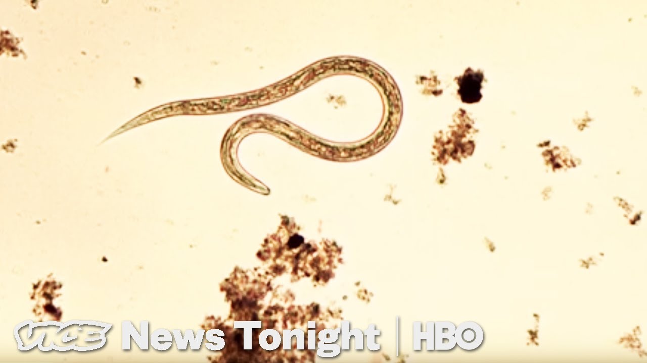 VICE News Tonight: Shocking Reports on Climate, Jail Vapes & Sewage Parasites 🌍