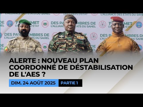 Alerte : nouveau plan coordonné de déstabilisation de l'AES? Partie 1