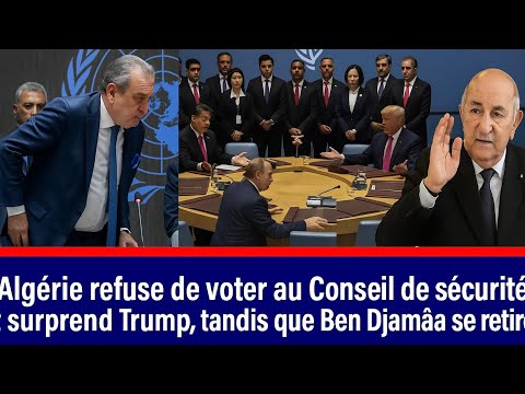 Coup de tonnerre Ă lâONU :lâAlgĂ©rie dĂ©fie Trump et choque le Conseil de sĂ©curitĂ© !â