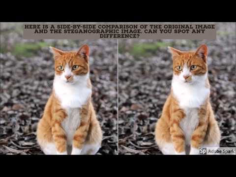 Steganography - How to hide a secret messages, files inside an image?