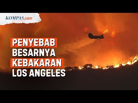 Penyebab dan Dampak Kebakaran Hutan di Los Angeles yang Semakin Meluas