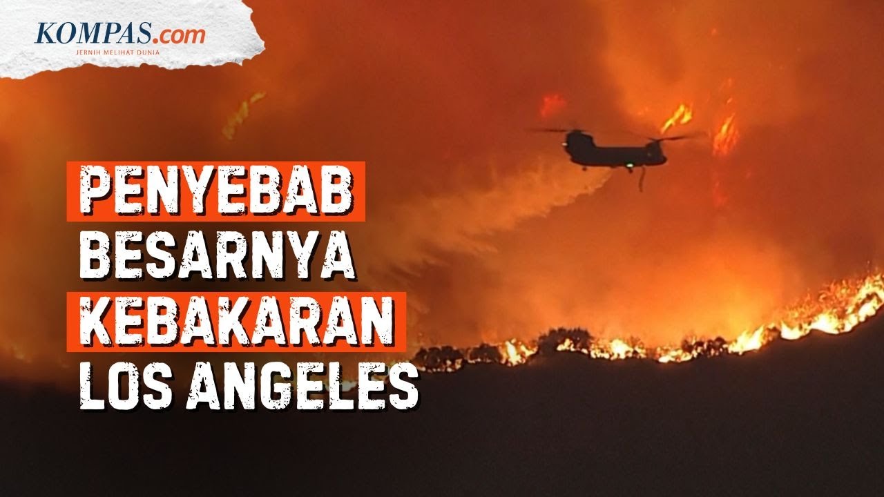 Penyebab dan Dampak Kebakaran Hutan di Los Angeles yang Semakin Meluas