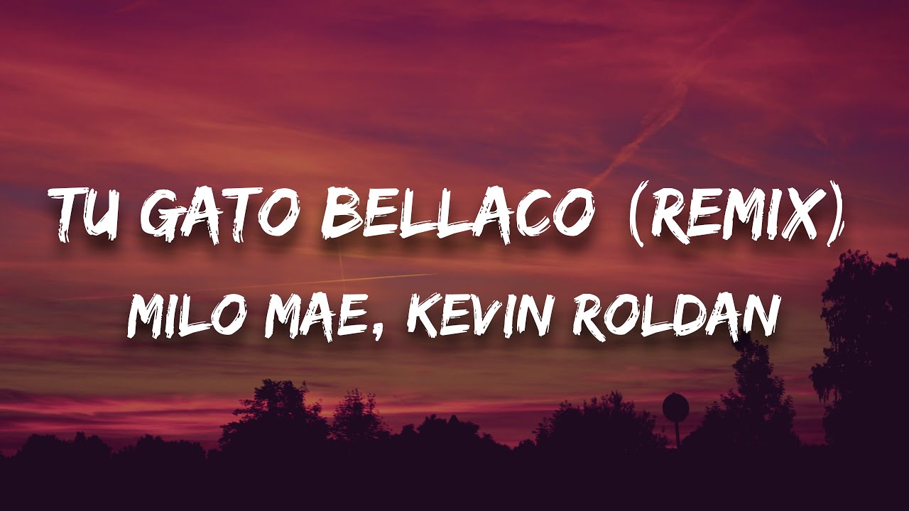Milo Mae, Kevin Roldan - TU GATO BELLACO (Remix) (Letra / Lyrics)