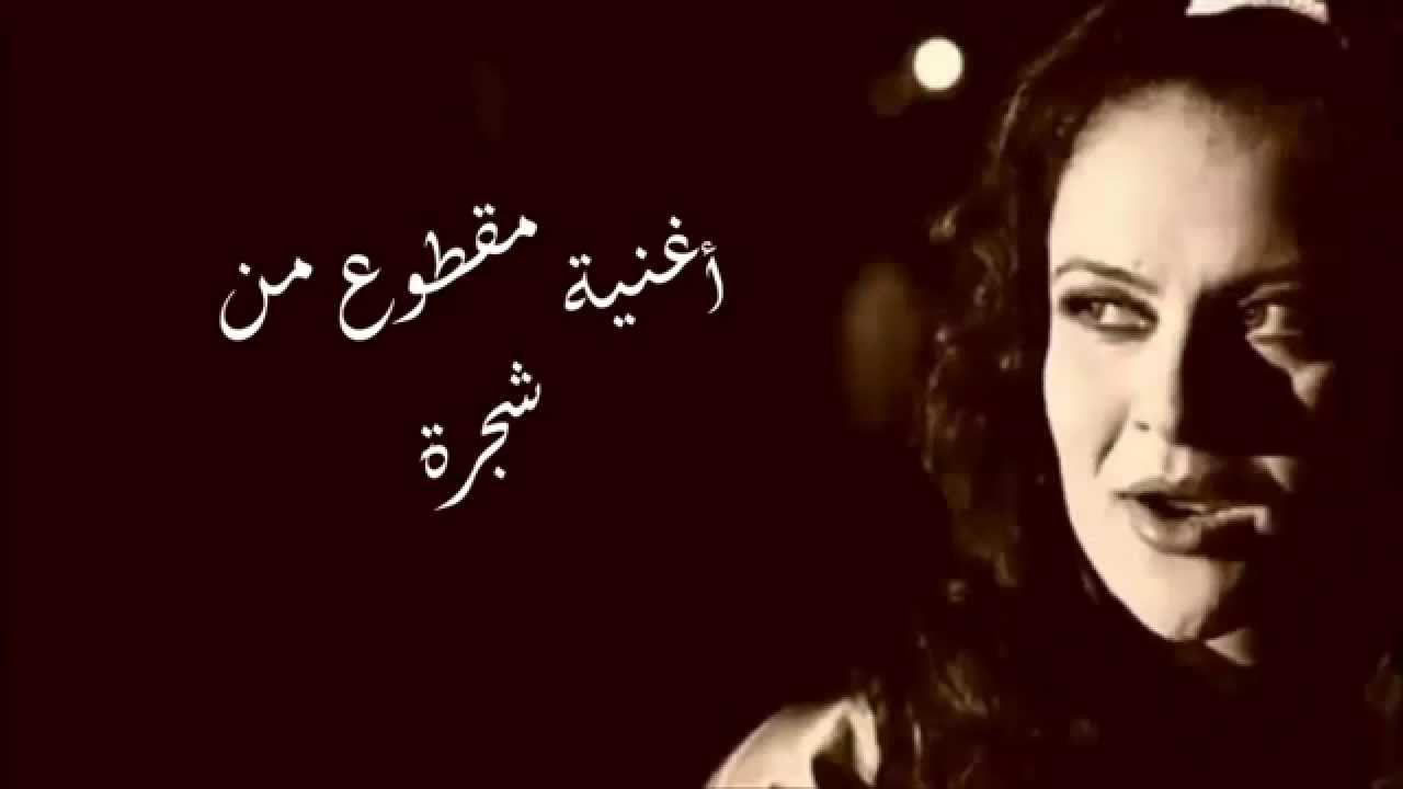 أغنية مسلسل مقطوع من شجرة 🎶