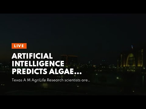 Artificial intelligence predicts algae potential as alternative energy source