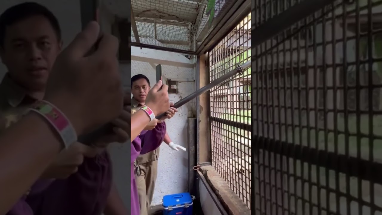 Pengalaman Ngeri yang Menghantui