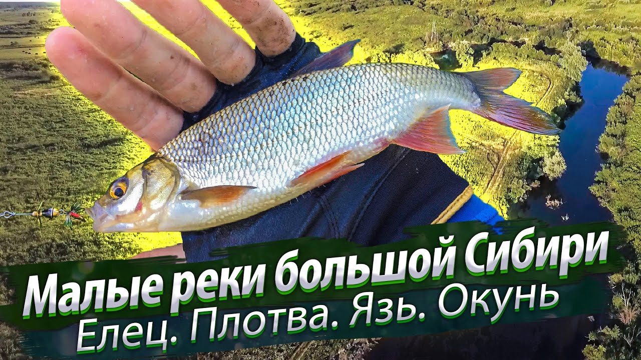 Рыбалка на малых реках Новосибирска 🎣