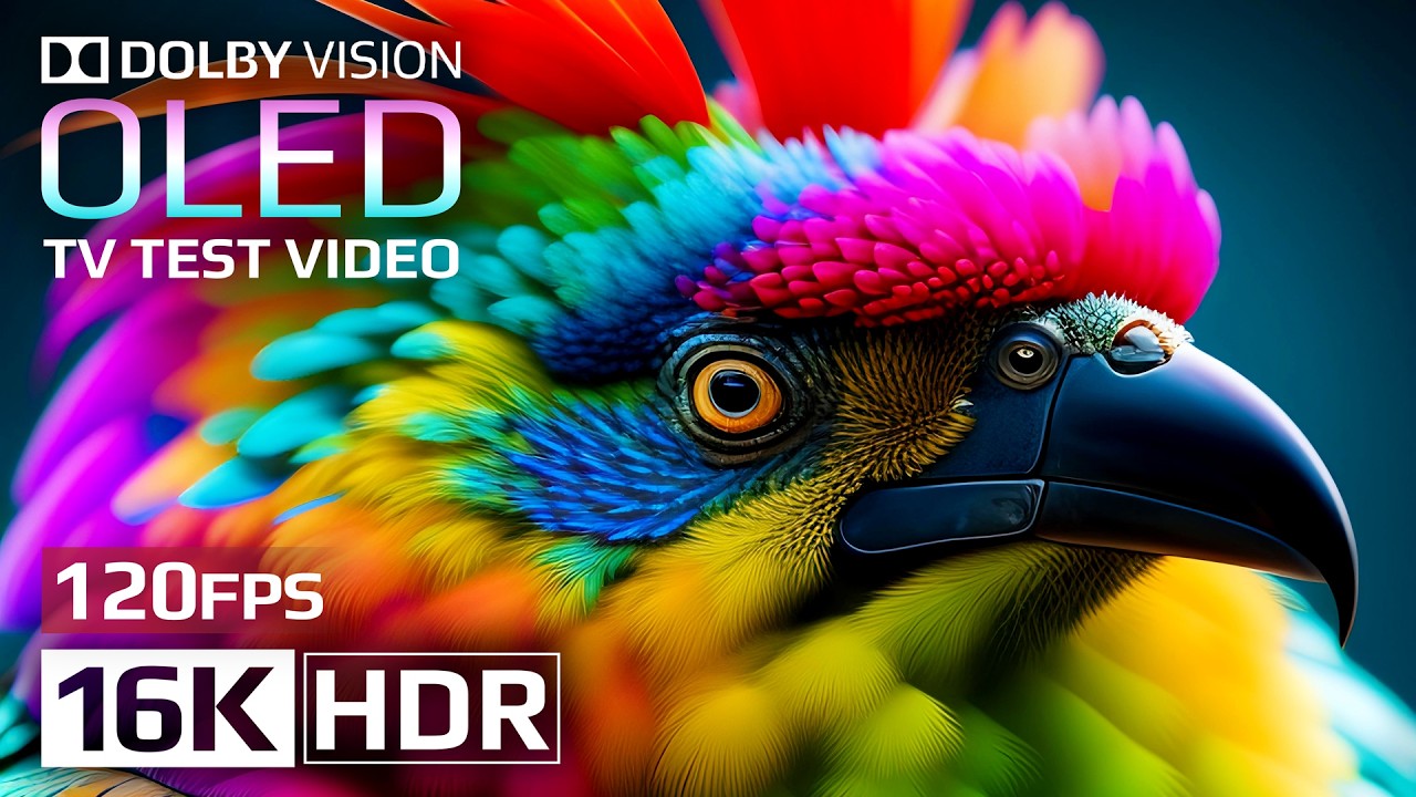 OLED Test 🌏 Stunning Dolby Vision 16K HDR 120fps