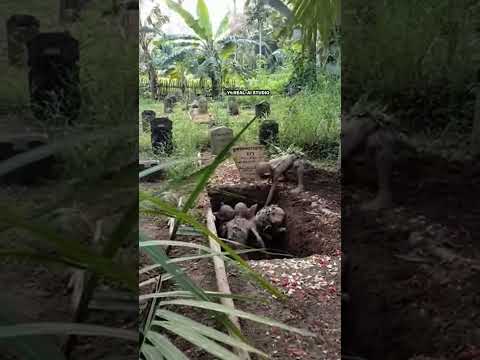 konten hiburan‼️#viral#viralvideo #vuralshort #fyp#fypシ #fypシ゚viral #trending #trendingshorts