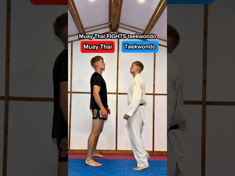 Muay Thai vs. Taekwondo: A Comparative Overview of Combat Styles