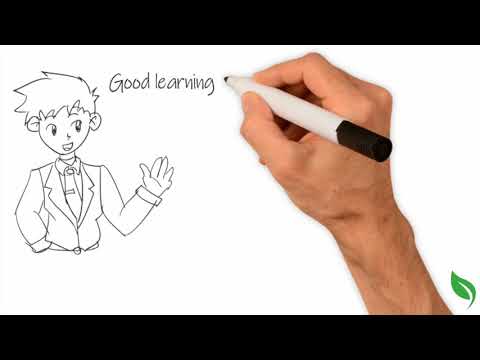 Top Learning Strategies for Better Memory 📚