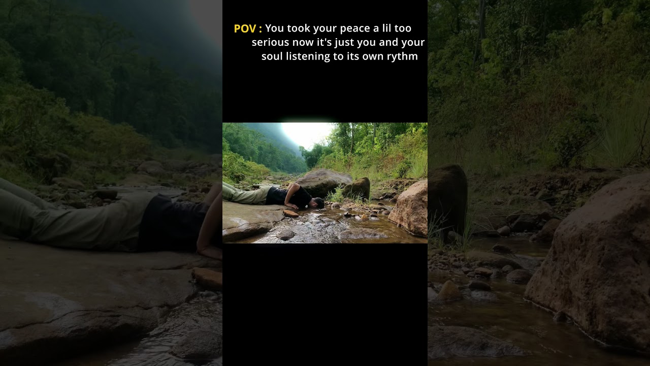 Find Inner Peace Amidst Chaos 🌿 | Soothing Cinematic Music & Vibes