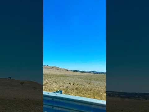 Australian Landscapes 🇦🇺 #australia #sinhala #travelvlog #wildlife #nature