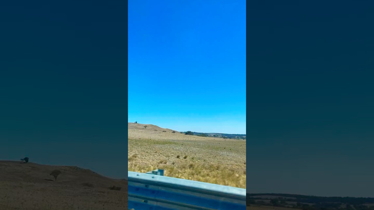 Explore Australia's Stunning Landscapes 🇦🇺 | Travel Vlog & Wildlife Adventure