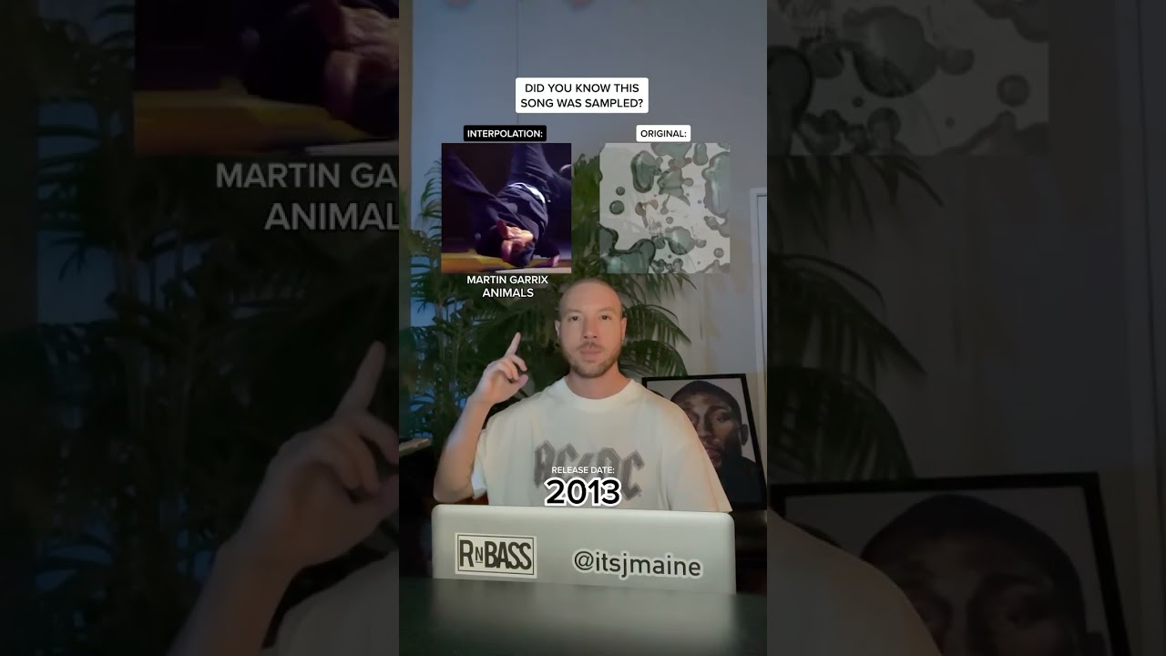The Sampling Connection: Martin Garrix's 'Animals' and Busta Rhymes