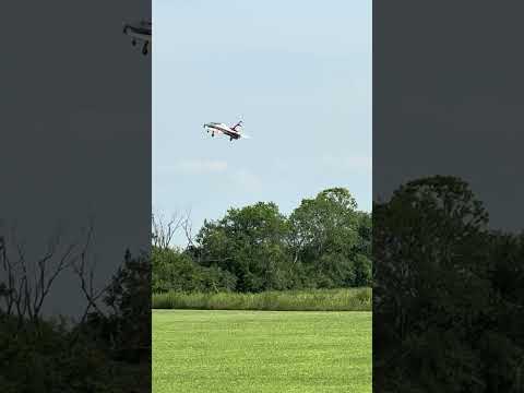 E-flite Viper Jet 90mm – Smooth & Powerful RC Jet Takeoff#rcjets #rcjet #rcaircraft #rcairplanes