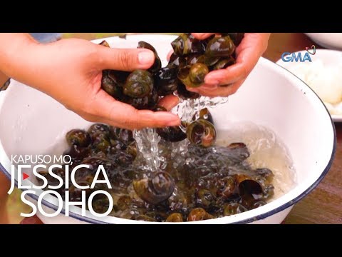 Kapuso Mo, Jessica Soho: Iba't ibang luto ng kuhol, tikman!