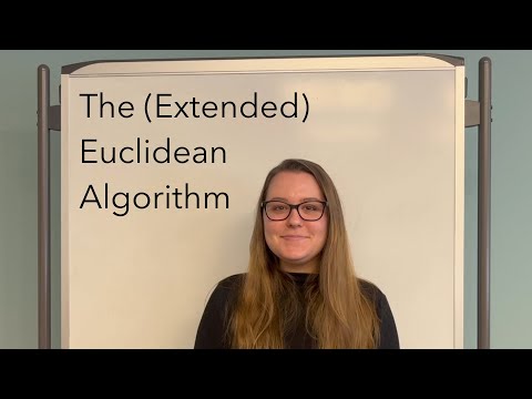 A Crash Course on the (Extended) Euclidean Algorithm