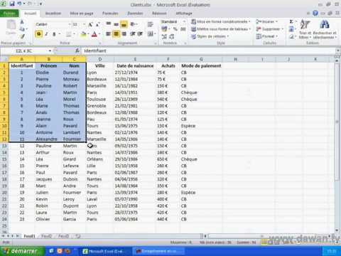 Excel 2010 : Maîtrisez les Tableaux Croisés Dynamiques