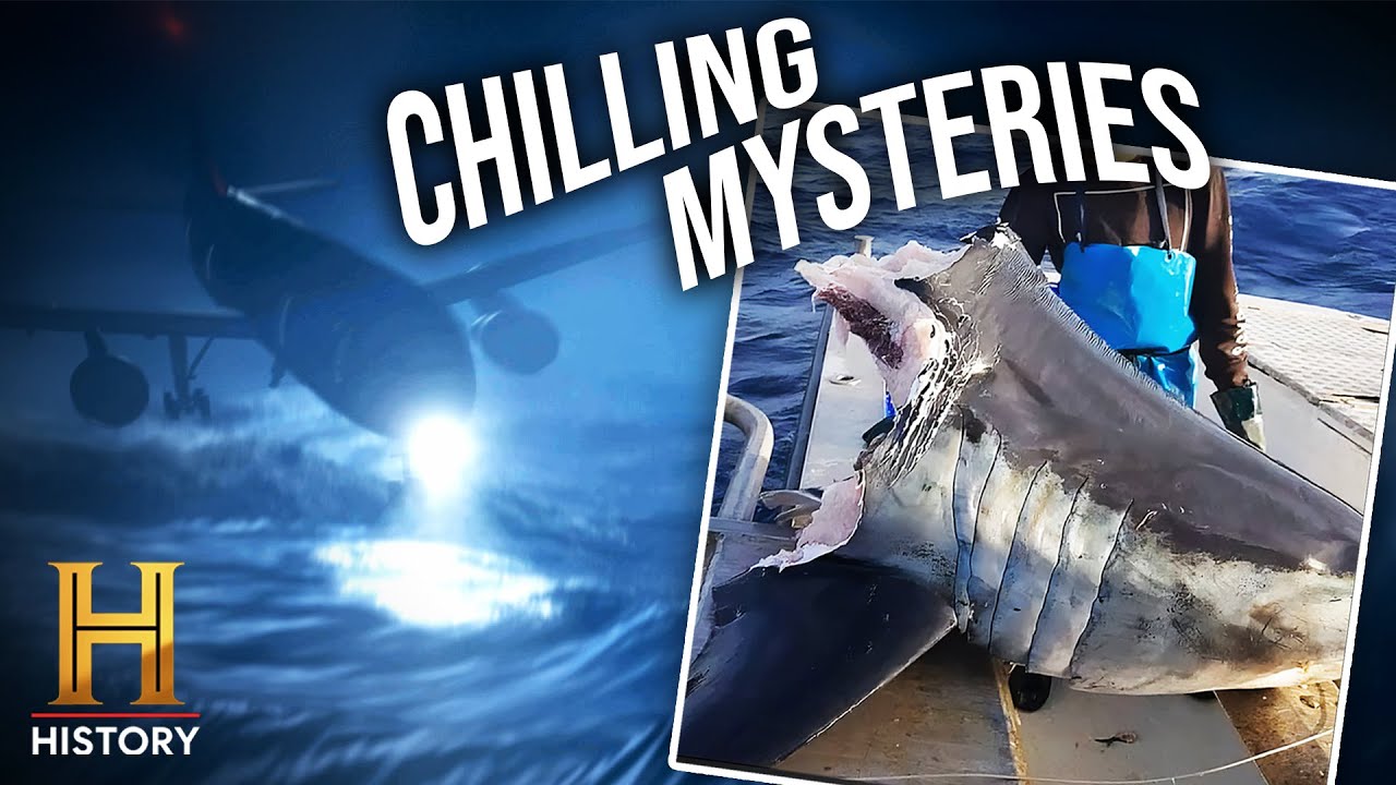 TOP 4 Top 4 Shocking Mysteries of 2024 You Won't Believe! 🔍