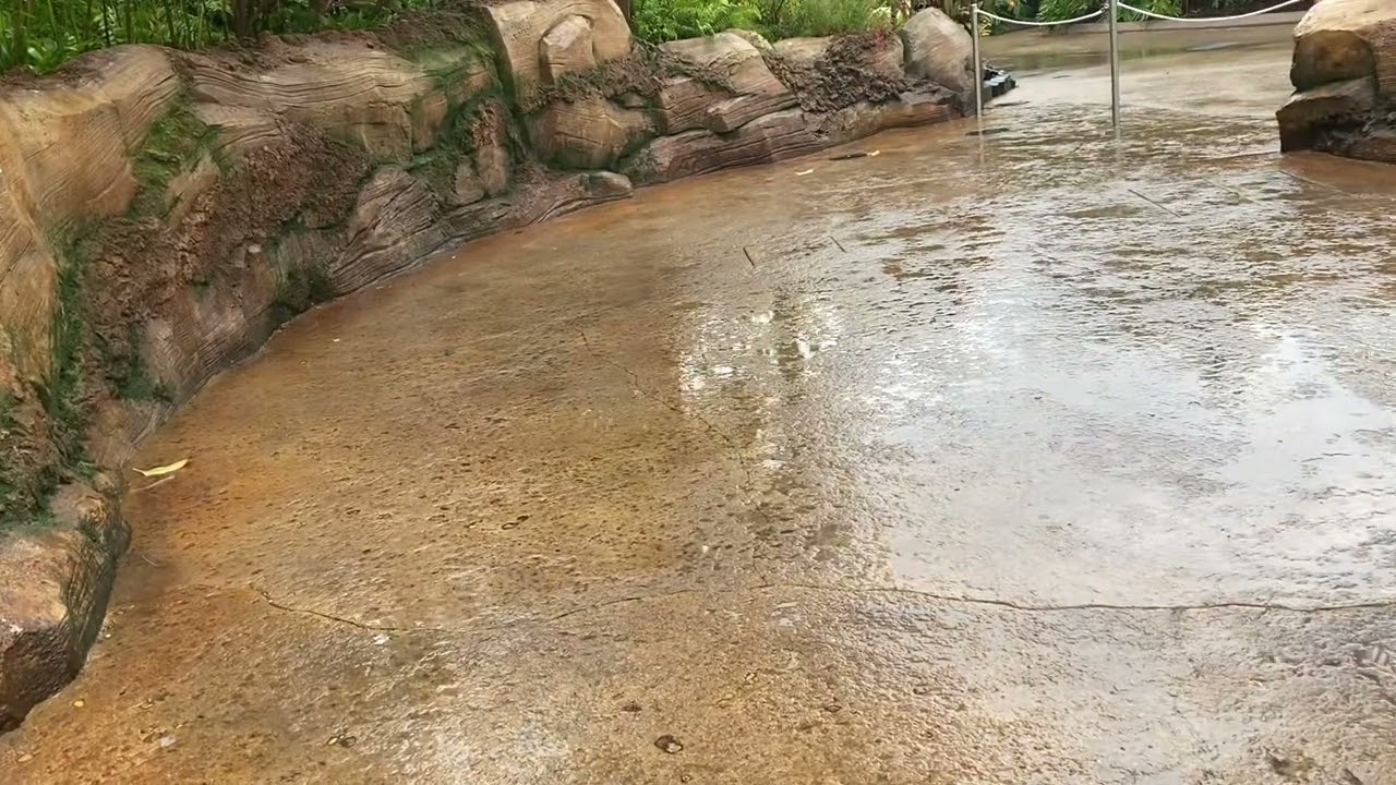 Moana Meet & Greet at Epcot 2025 🌺