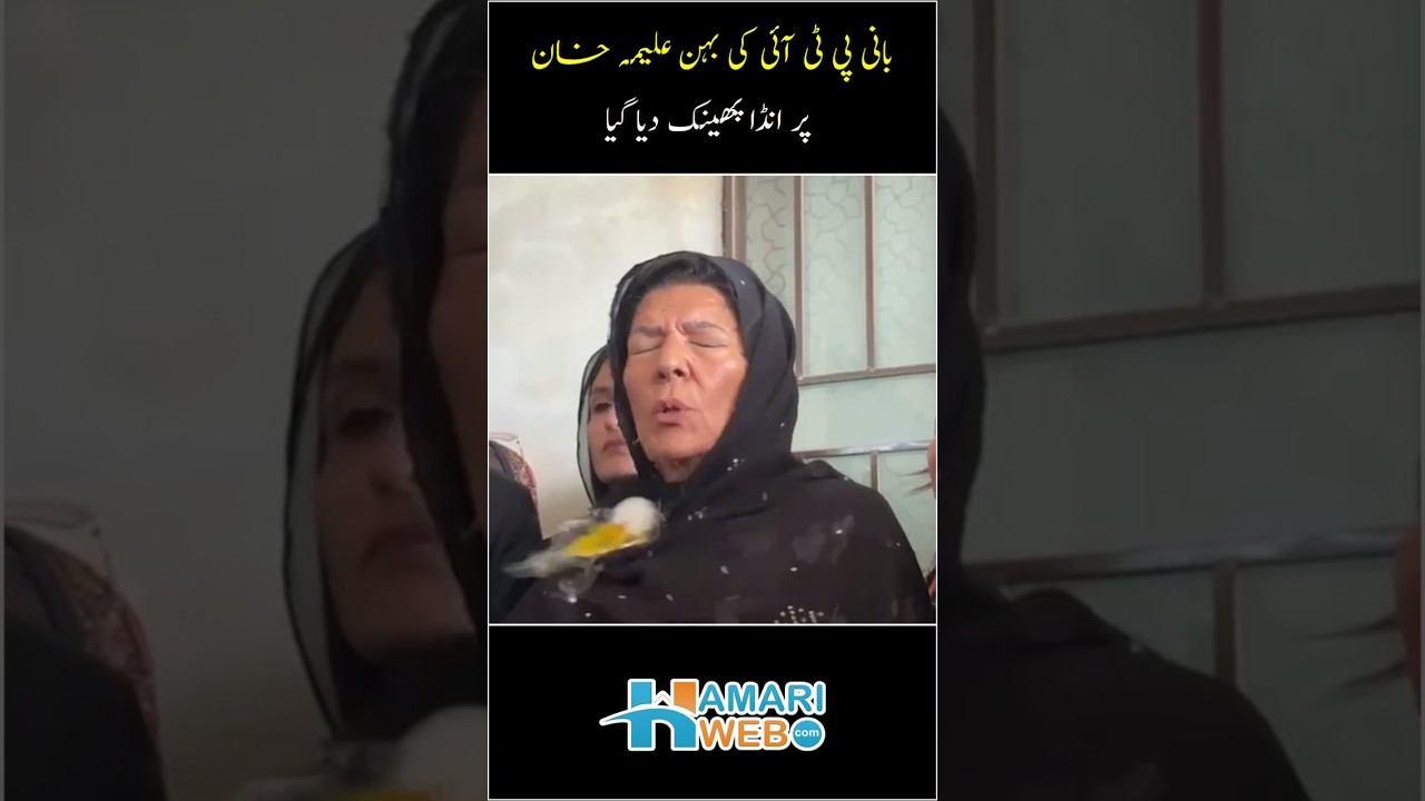 Imran Khan`s Sister Aleema Khan Attacked with an Egg