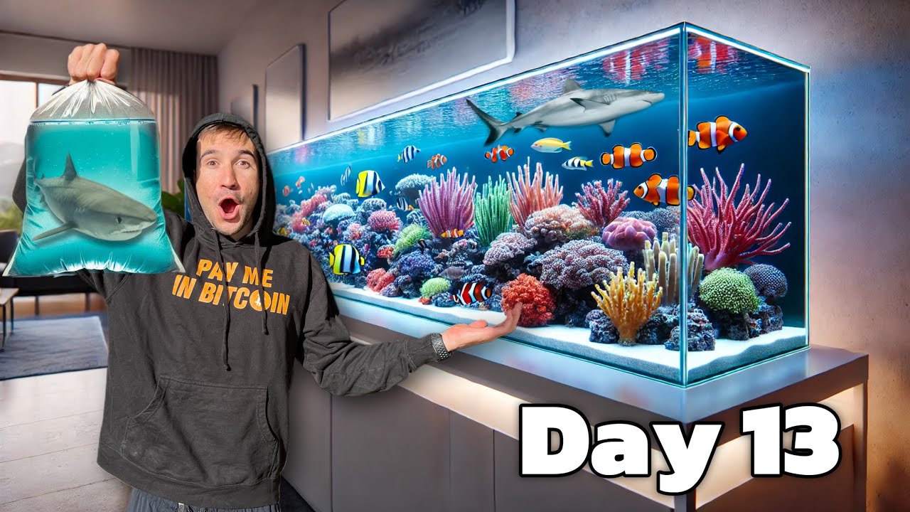 Transforming My Living Room with a Stunning Reef Aquarium 🌊