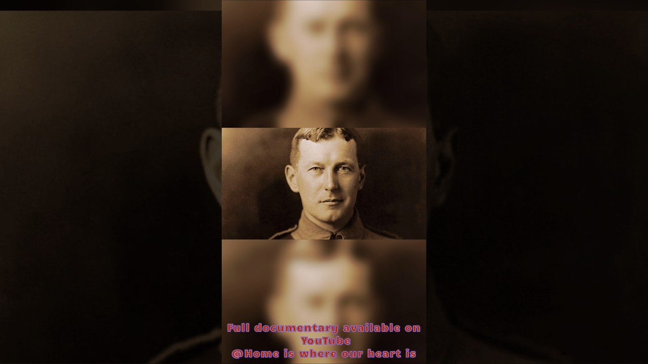 Why Do We Wear Poppies on Remembrance Day? 🌺