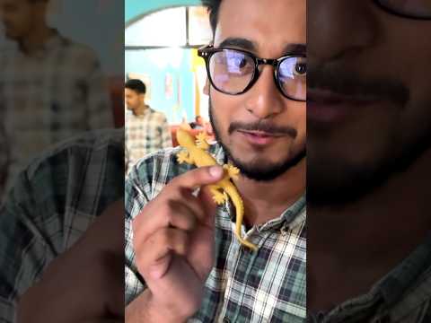 Miraz khan Prank with Tamim 😂😂😂 Funny Prank