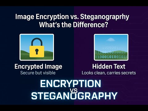 Python Image Security Project | Fernet Encryption + LSB Steganography