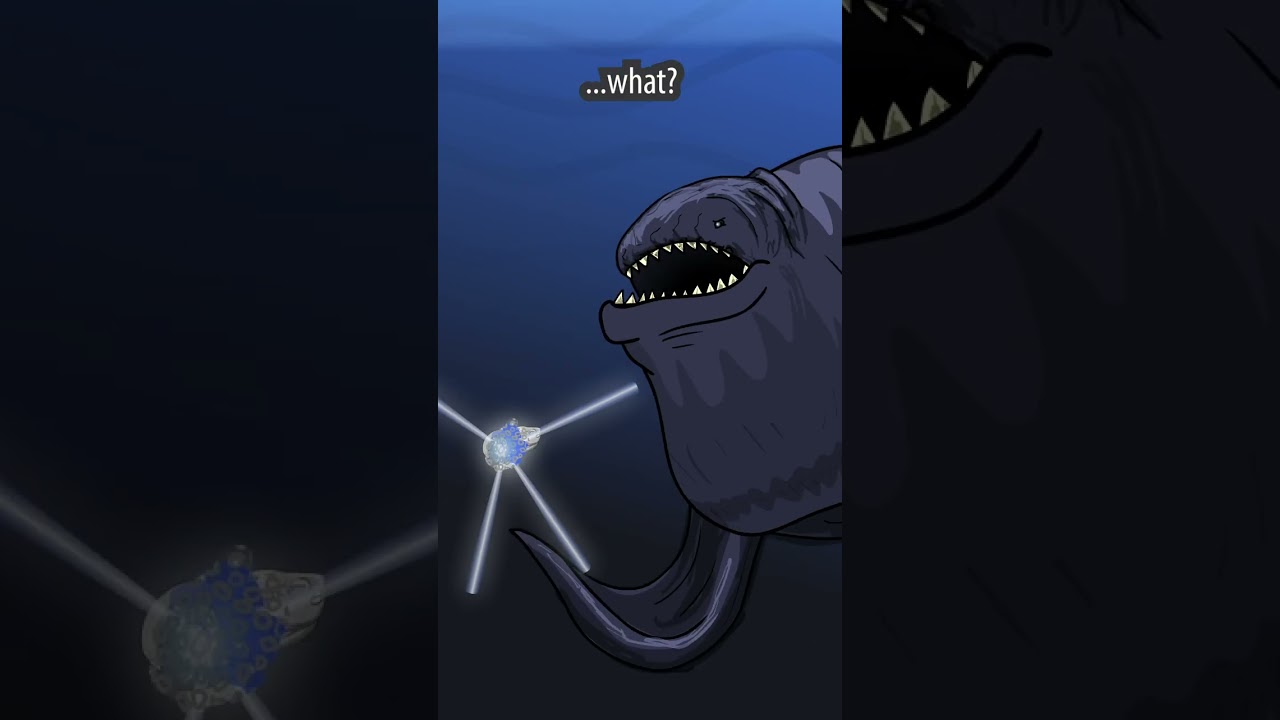 Oceanic Sunfish vs. Bloop 🐟