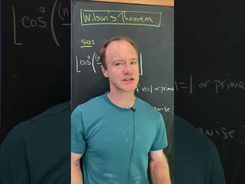 a prime testing function