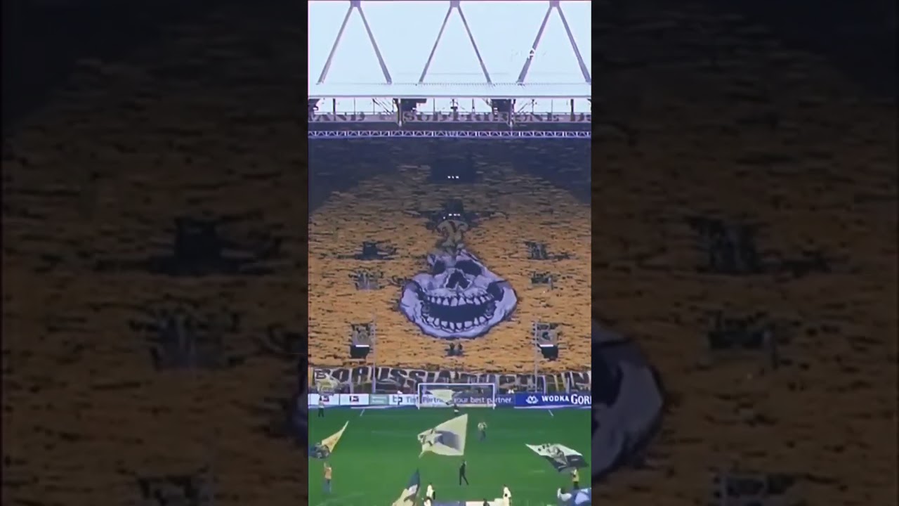 Dortmund Fans ❤️🟡⚫