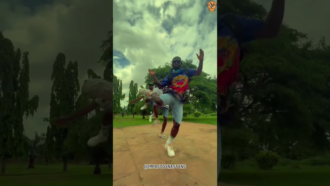 Fididi Dance Cover Vibes 🎶