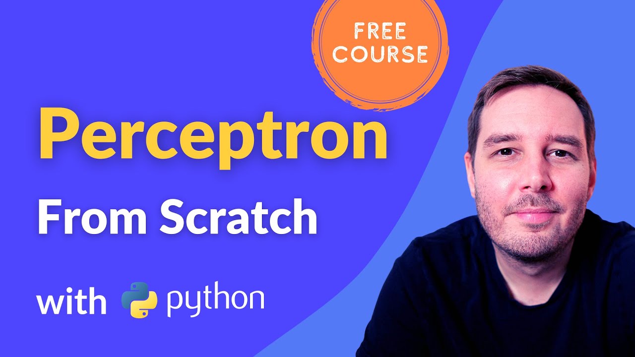 Learn to Build a Perceptron from Scratch in Python 🧠