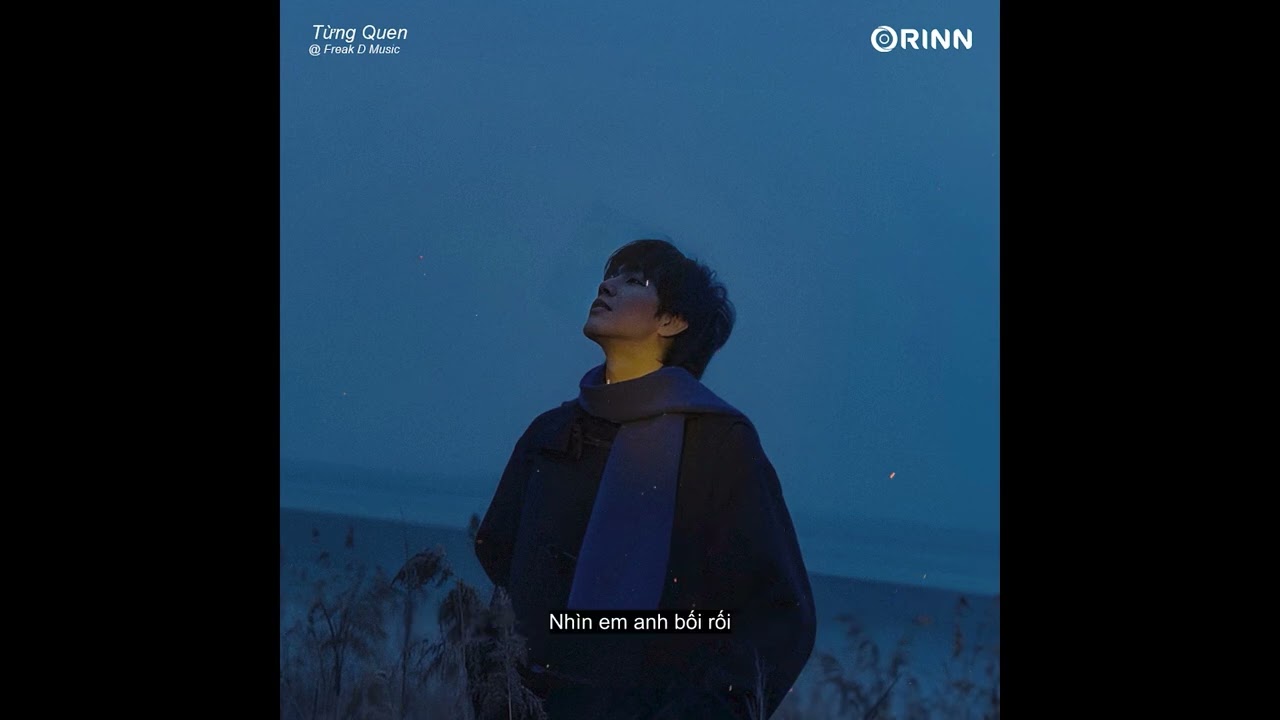 Từng Quen (Lofi Ver.) - Wren Evans & Freak D 🎶