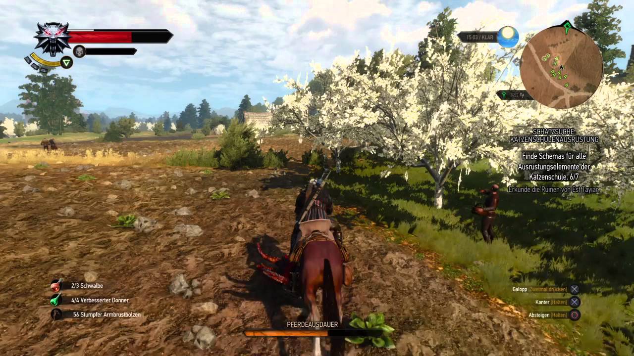 Witcher 3: Wichtige Lebensfragen 🐺