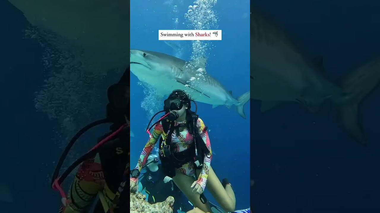 Real-Life Khatron Ke Khiladi Challenge! π€―