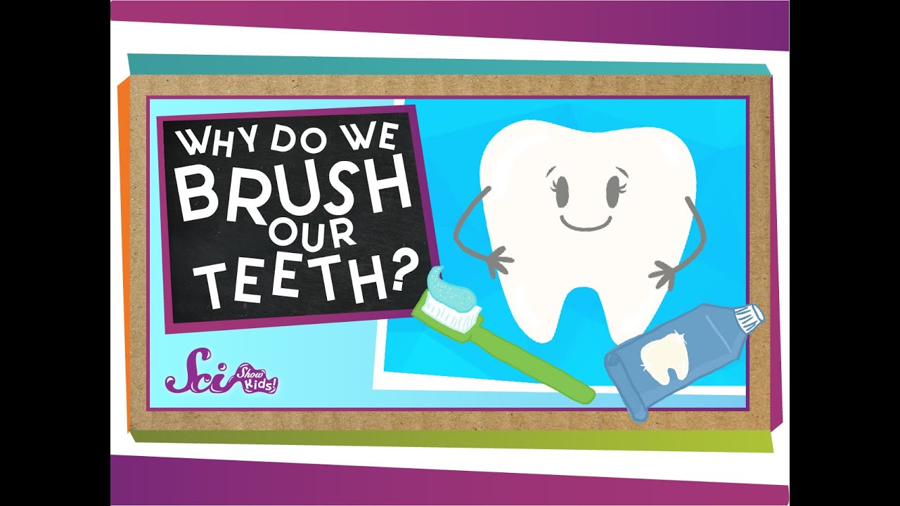Why Do We Brush Our Teeth? 🦷 | SciShow Kids