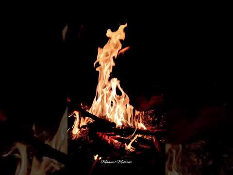 Ammayi Muddu | Venkatesh Songs | Ram Gopal Varma