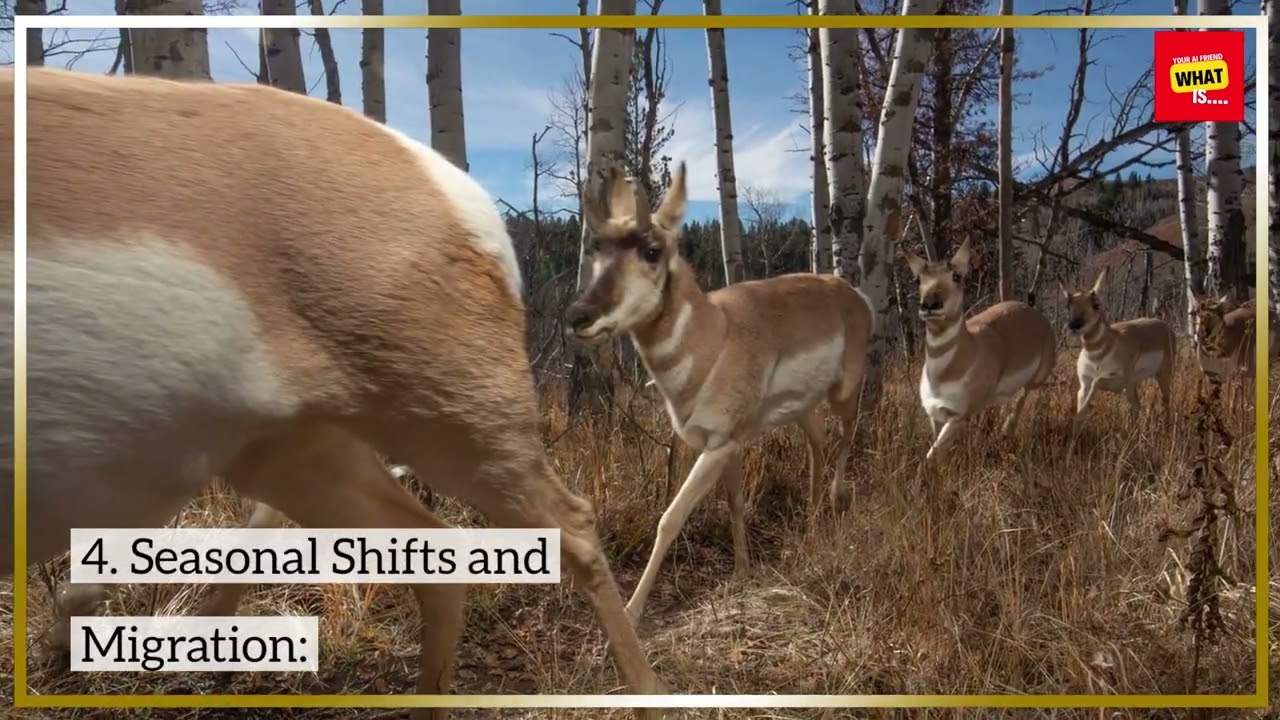Understanding the Intertropical Convergence Zone 🌍